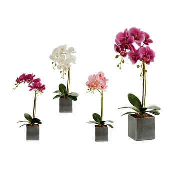Vazo Lule Orkide Artificiale